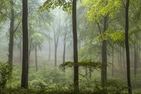 Fotograf peisaj al anului câștigător fotografie 2018