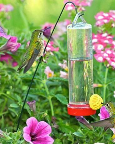 Hrănitor suspendat pentru colibri