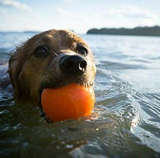 Planet Dog Orbee-Tuff Squeak, jucărie aproape indestructibilă cu bule pentru câini Jucărie cu mâini agresive, fabricată în SUA, medie de 3 inci, portocalie