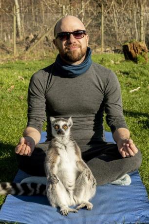 Yoga cu lemuri