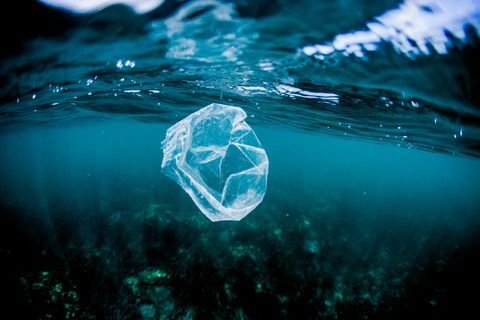 pungă de plastic plutind peste recif în ocean, Costa Rica