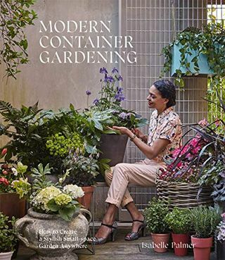 Grădinărit modern în containere: Cum să creați o grădină elegantă în spațiu mic oriunde
