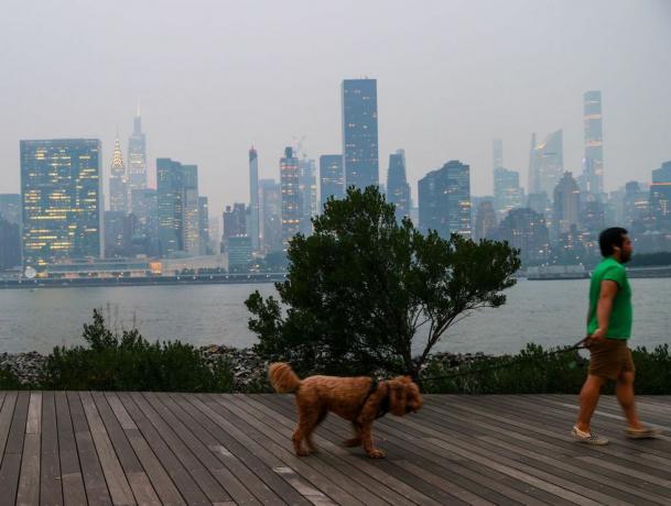 bărbat care își plimbă câinele în timpul calității proaste a aerului