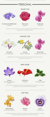Flori infografice
