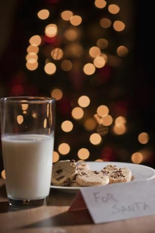 pahar cu lapte și farfurie cu fursecuri pentru Moș Crăciun