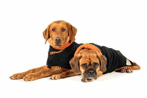 Ruff and tumble lansează o nouă haină de uscare pentru câini cu Crufts