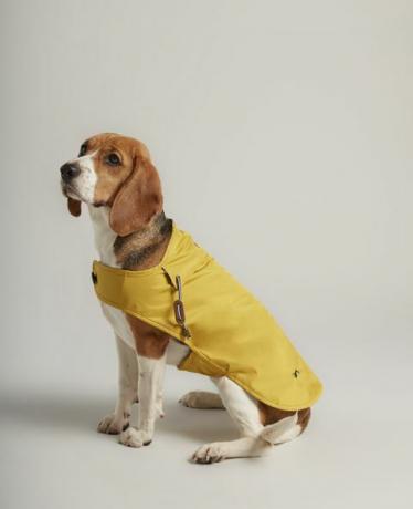 Palton de câine galben-antiderapant stropit