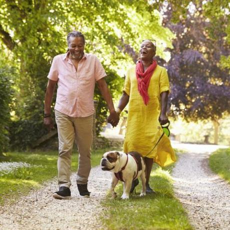 Cuplu senior care se plimbă cu bulldogul pentru animale de companie în țară