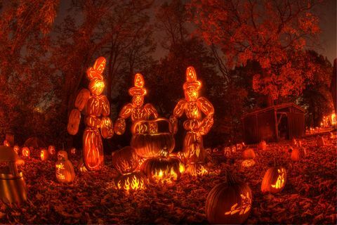 cele mai bune festivaluri de Halloween marea aprindere a jack-o'-lanternei