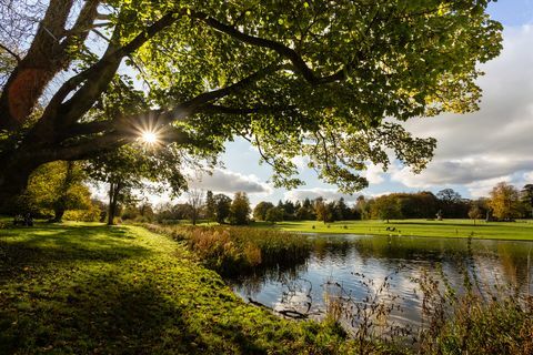 Parcul Lydiard este un parc de 260 de acri situat pe marginea de vest a Swindon, cu casa palladiană, biserica și grădina cu ziduri, amplasate în fostul terenul unei proprietăți istorice este întreținut de consiliul local ca un spațiu deschis, cu acces liber pentru rezidenții și vizitatorii, escroc