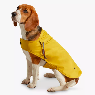 Pelernă de ploaie pentru câini muștar Joules
