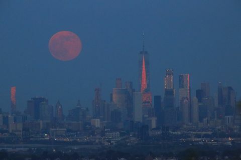 luna de căpșuni se ridică peste orașul New York