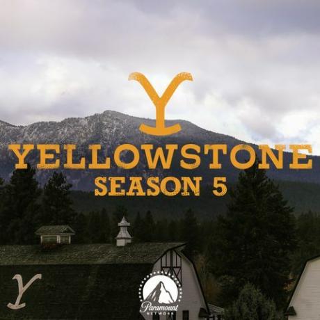 Anunțul sezonului 5 al rețelei supreme Yellowstone