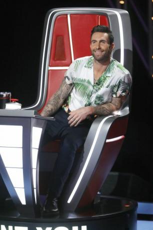 adam levine voce vocea de costum de Halloween