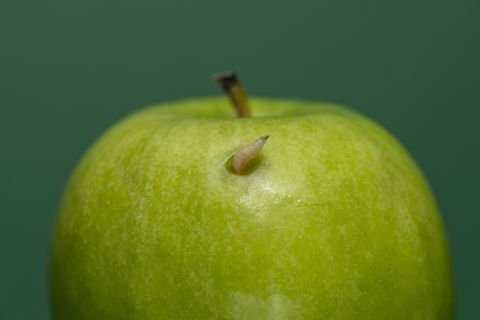 Maggot scoțând dintr-un măr verde