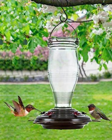 Hrănitoare pentru colibri din sticlă cu sticla vintage