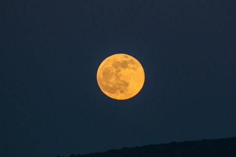 lup luna in grecia
