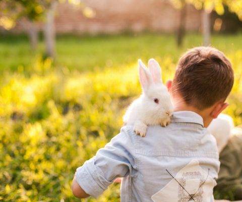 Băiat îmbrățișându-și iepurele în parc