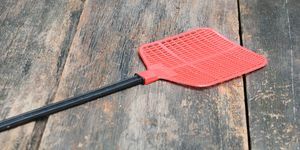 zvațător de muște roșu Un singur zburător de muște făcut din plastic și care nu prinde muște pe fundal de podea din lemn
