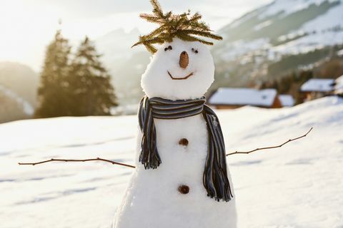 Omul de zăpadă pe câmpul înzăpezit