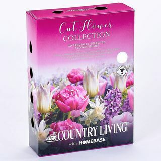 Colecția Country Living Cutflower