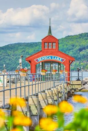 Lake Seneca Pier Watkins Glen, statul New York