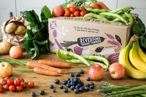 Riverford Organic Farmers - cutie de legume