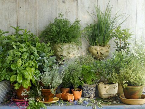 5 modificări de grădină care vă vor îmbunătăți sănătatea și bunăstarea mentală