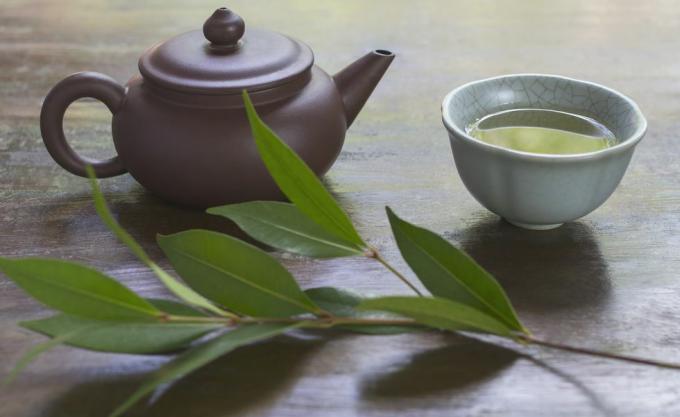 Natura moartă cu ceainic din ceramică, ceașcă de ceai verde și ramură de plantă de ceai