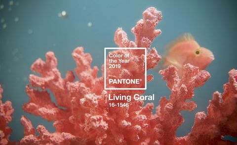 Pantone Color of the Year 2019 - Living Coral