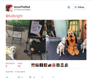 Câinii de serviciu obțin caricatura la Disneyland