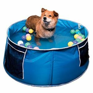Cool Club Dog Pool Pool Blue