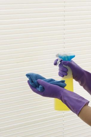 Pereche de mâini în mănuși de cauciuc violet care curăță jaluzele cu spray și pânză