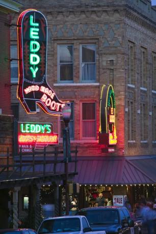 districtul istoric național fort worth stockyards