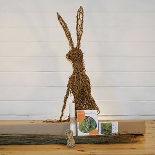 Trusa Willow Hare