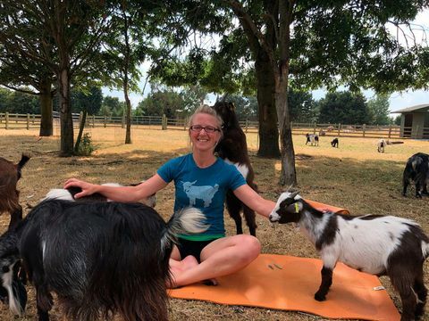 yoga capră