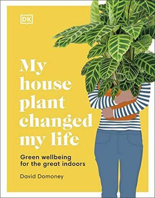 Planta mea de casă mi-a schimbat viața: bunăstare verde pentru interior minunat