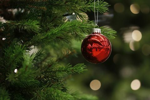 De la un copac atârnă o biscuită de Crăciun