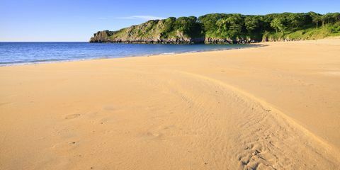 Nisipul auriu al golfului Barafundle din Pembrokeshire, Țara Galilor