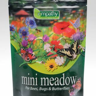 Poza Empathy Mini Meadow for Bees, Bugs and Flutflies