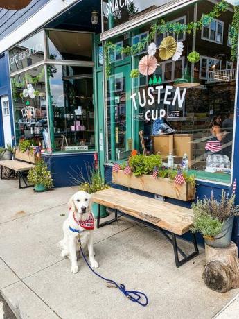 cafenea tusten cup narrowsburg new york