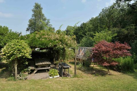 Stargazer - Holcombe Rogus - Devon - Airbnb garden