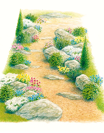 ilustrare grădină rock