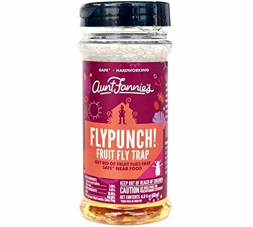 Capcană non-toxică pentru muștele din fructe FlyPunch