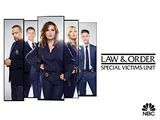Law & Order: SVU Sezonul 20