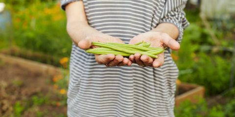 Femeie în vârful dungi care prezintă mână de fasole în mână