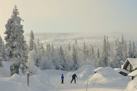 5 experiențe de vacanță arctică de care trebuie să încercați