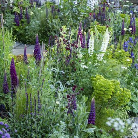scheme de plantare de grădină binevenite în grădina yorkshire