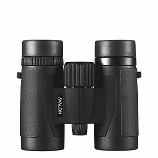 Binoclu Avalon 8x32 MINI HD (NEGRU)