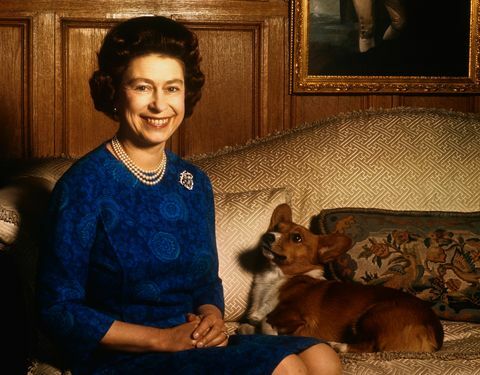Câinele lui Meghan Markle călărește cu regina Elisabeta la Windsor
